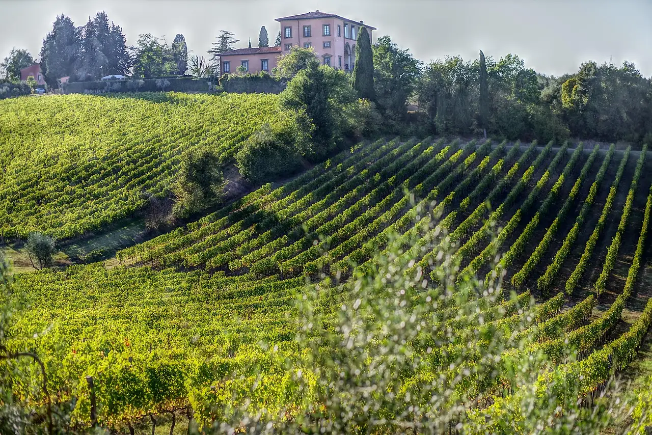 Smaakvolle Bolgheri wijn: proef de Italiaanse kwaliteit