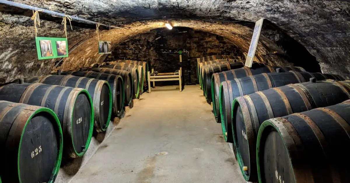 Ontdek de beste Duitse wijnen: Riesling en meer