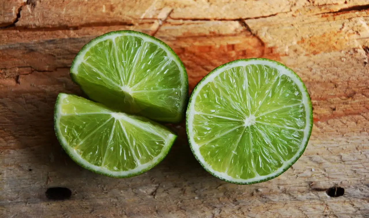 Fris koud tussengerecht van witte wijn en citrusvruchten