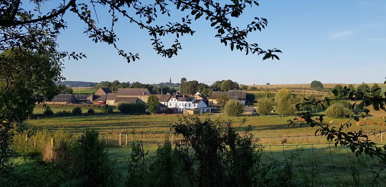 Limburgse wijn