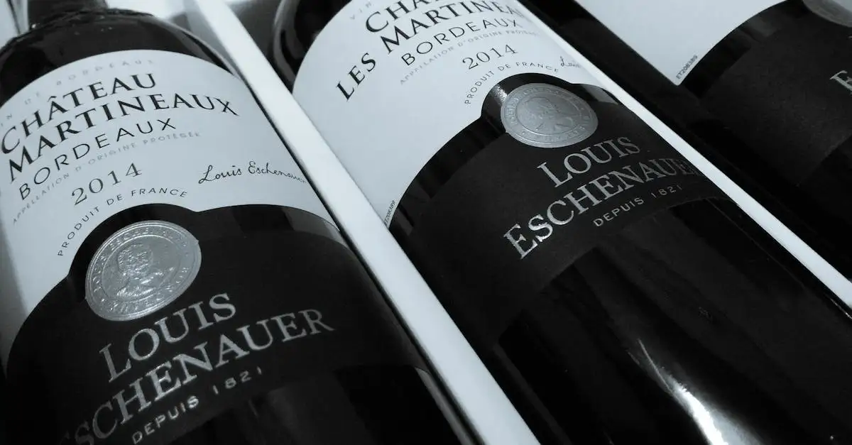 Medoc wijn kopen: ontdek de beste Bordeaux wijnen
