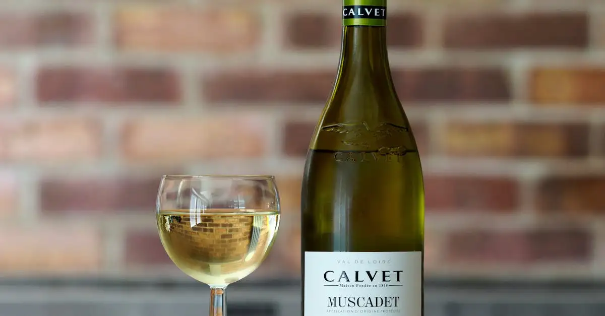 Muscadet Wijn Kopen | Ontdek de Franse Droge Witte Wijn