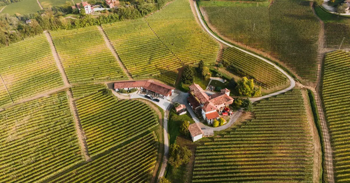 Piemonte wijn