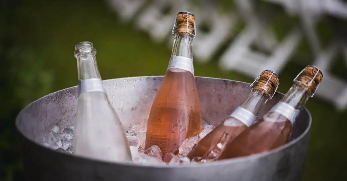 Prosecco wijn kopen: Beste prijzen en soorten online