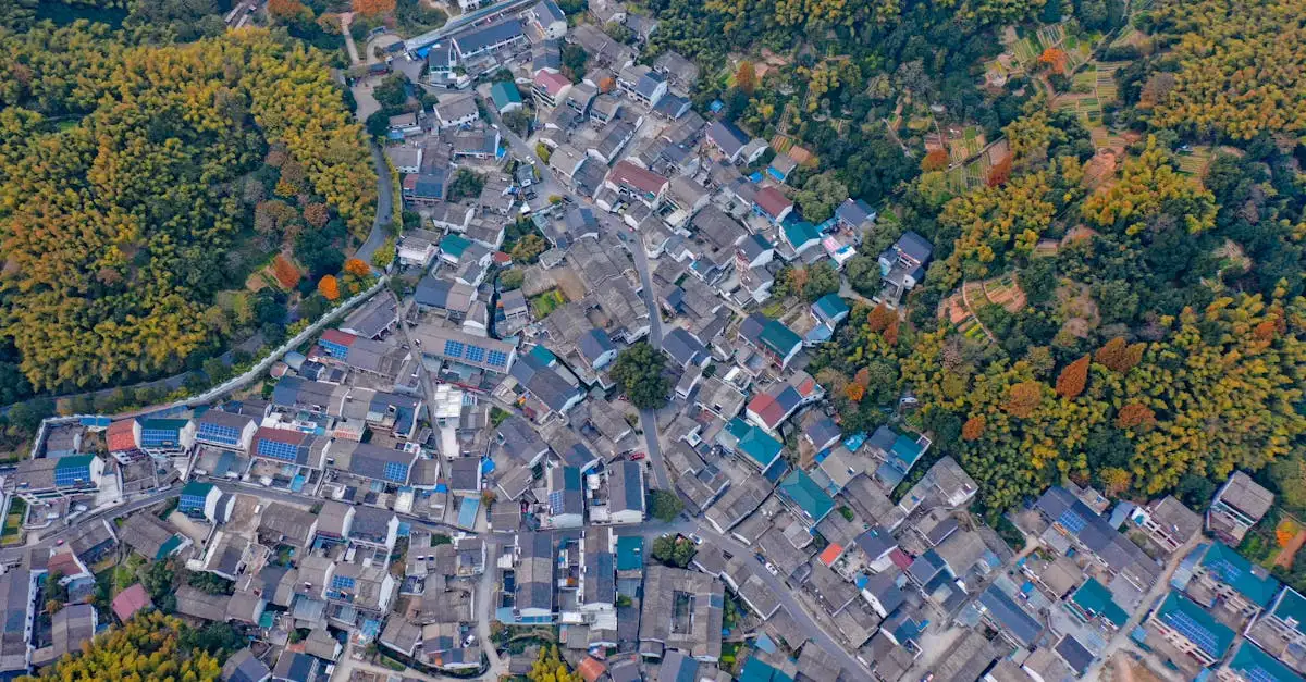 Shaoxing wijn kopen: ontdek de smaak van China