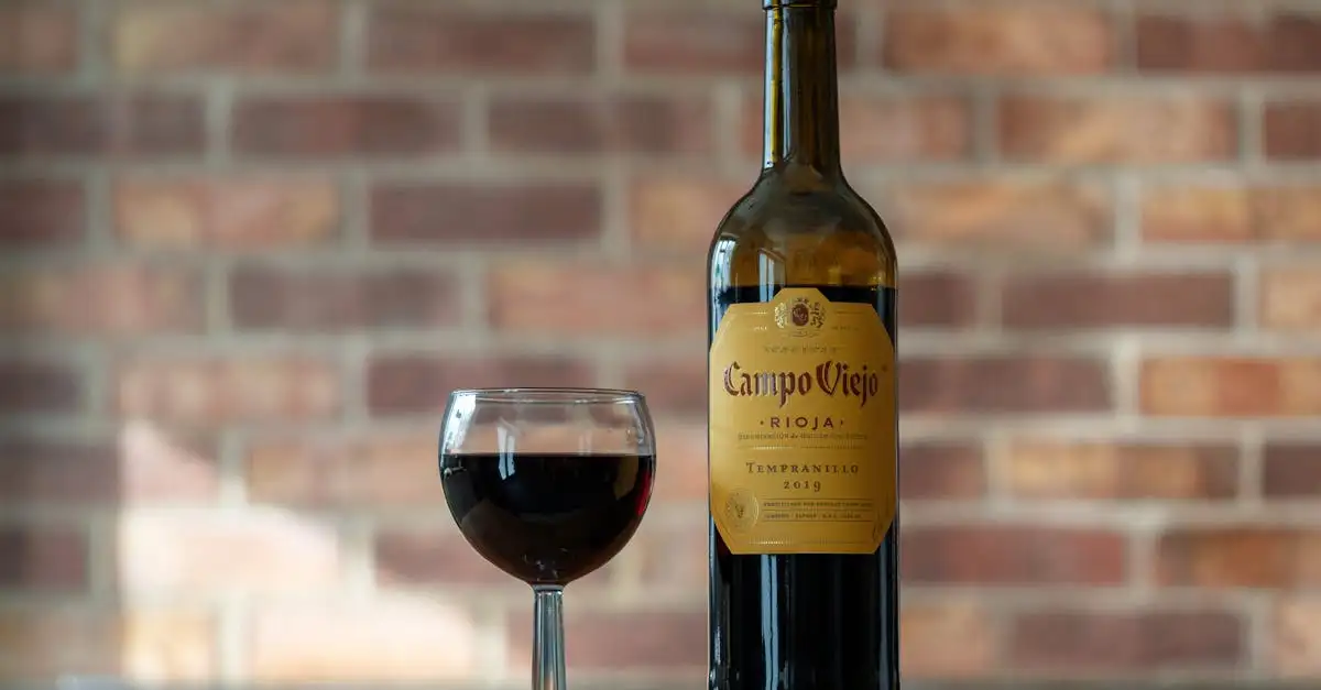 Welke rode wijn voor tinto de verano? De beste keuzes