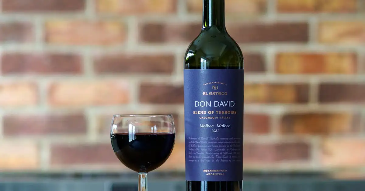 Ontdek de unieke smaken van wijn uit Argentinië