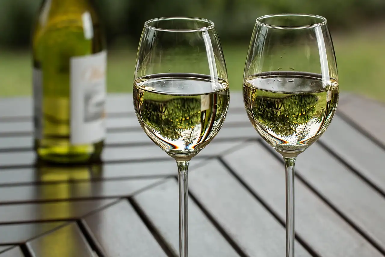 Witte wijn plus: Ontdek ons assortiment en beste selectie